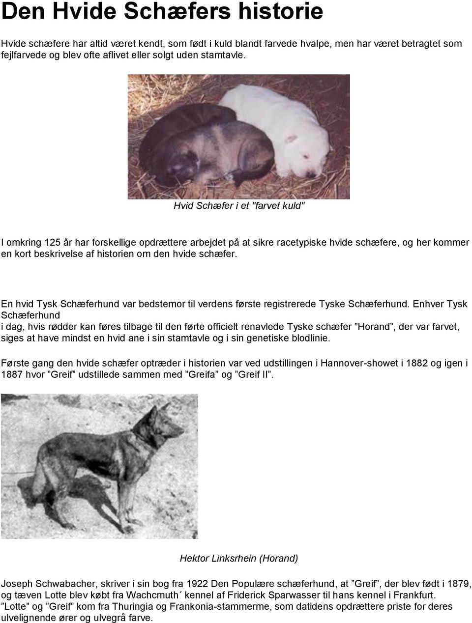 En hvid Tysk Schæferhund var bedstemor til verdens første registrerede Tyske Schæferhund.