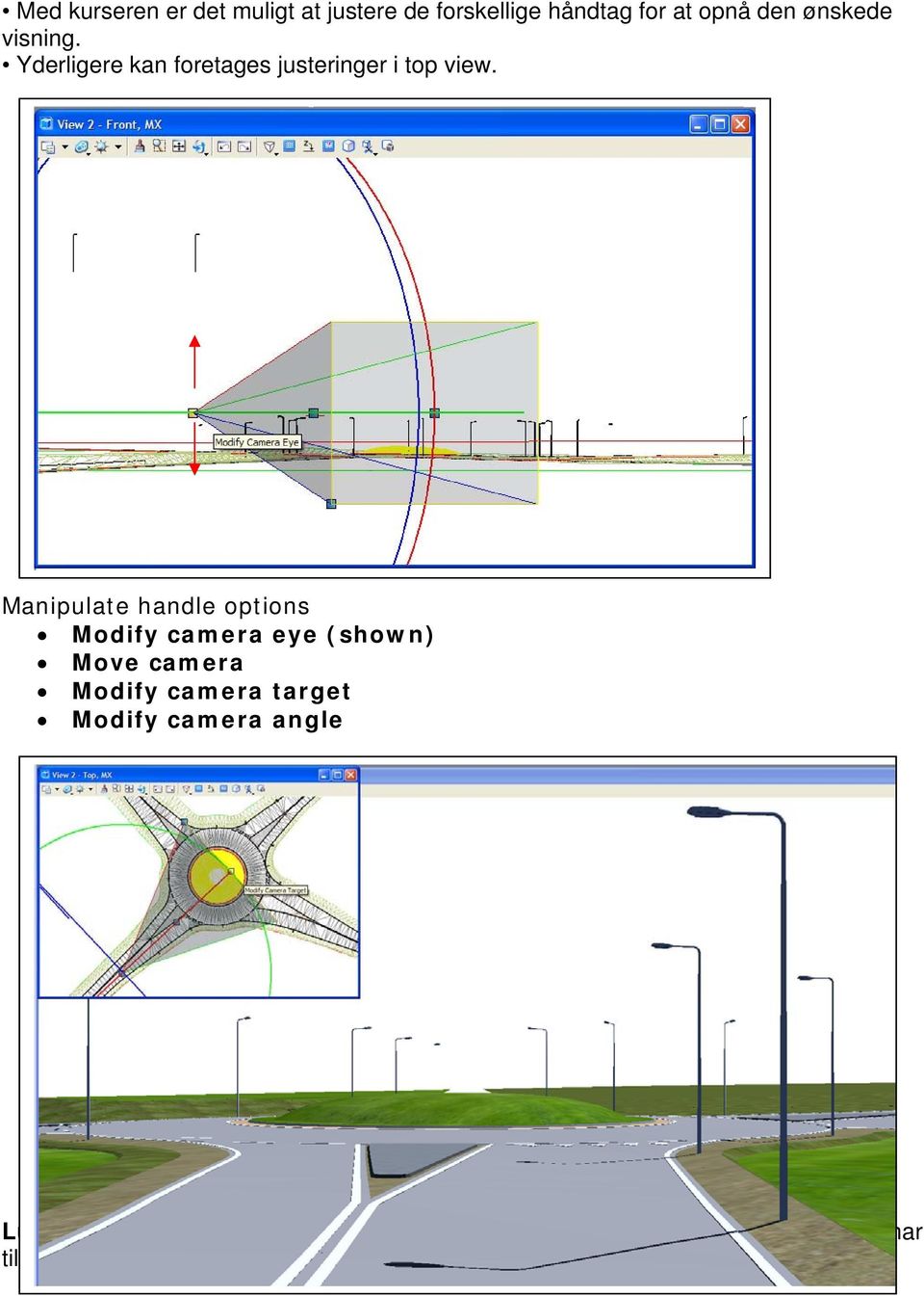 Manipulate handle options Modify camera eye (shown) Move camera Modify camera target Modify
