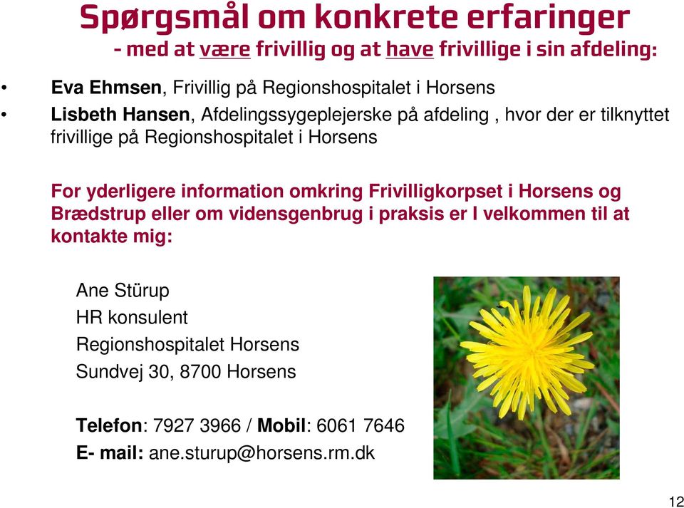 information omkring Frivilligkorpset i Horsens og Brædstrup eller om vidensgenbrug i praksis er I velkommen til at kontakte mig: Ane Stürup