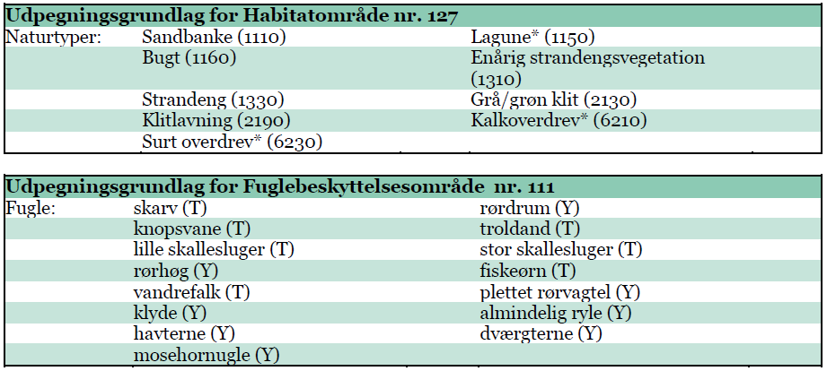 Figur 4. Udpegningsgrundlag for habitatområde nr. 127 og fuglebeskyttelsesområde nr. 111. Hvidovre Kommune har oplyst, at der ikke findes Bilag IV arter i projektområdet.