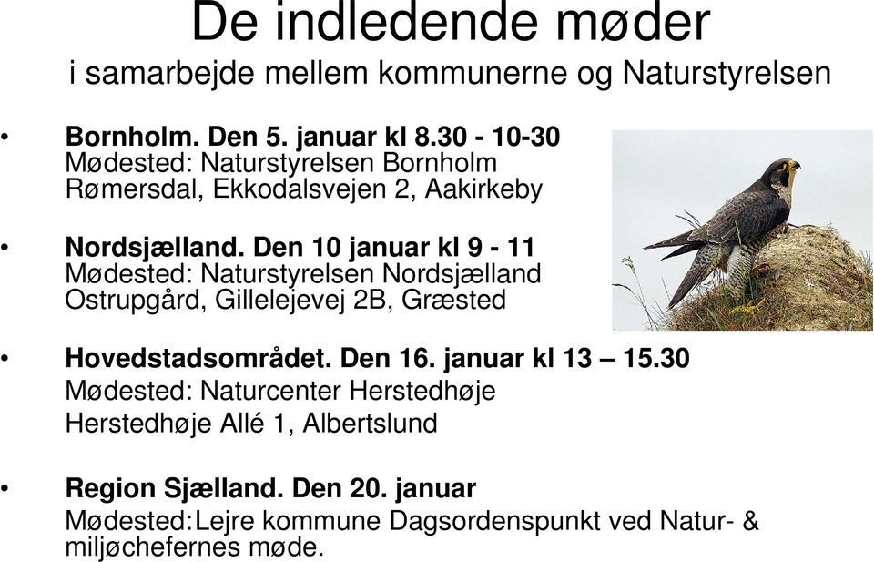 Den 10 januar kl 9-11 Mødested: Naturstyrelsen Nordsjælland Ostrupgård, Gillelejevej 2B, Græsted Hovedstadsområdet. Den 16.