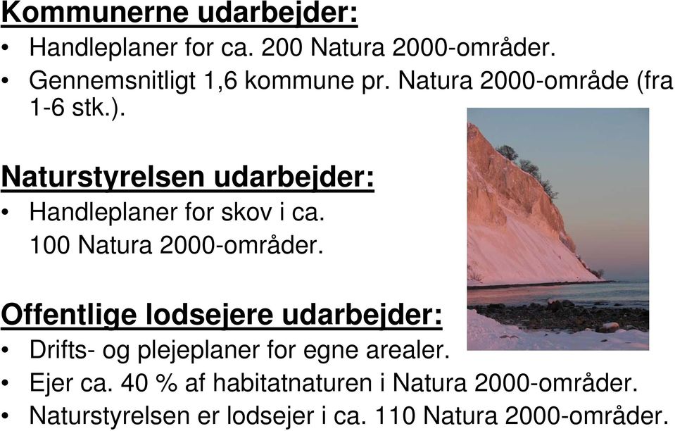 100 Natura 2000-områder. Offentlige lodsejere udarbejder: Drifts- og plejeplaner for egne arealer.