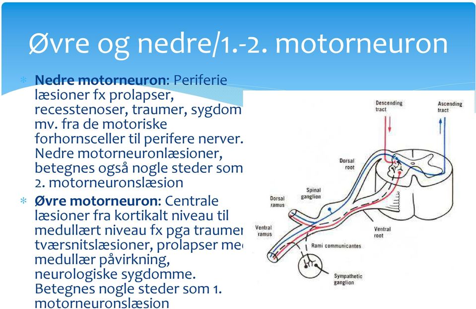 motorneuronslæsion Øvre motorneuron: Centrale læsioner fra kortikalt niveau til medullært niveau fx pga traumer,