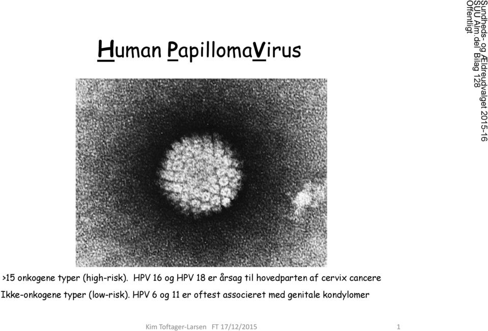 HPV 16 og HPV 18 er årsag til hovedparten af cervix cancere Ikke-onkogene