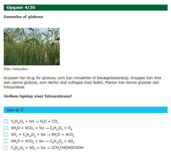 Opgave 4. Eleven skulle i denne opgave identificere reaktionsligningen for fotosyntesen.