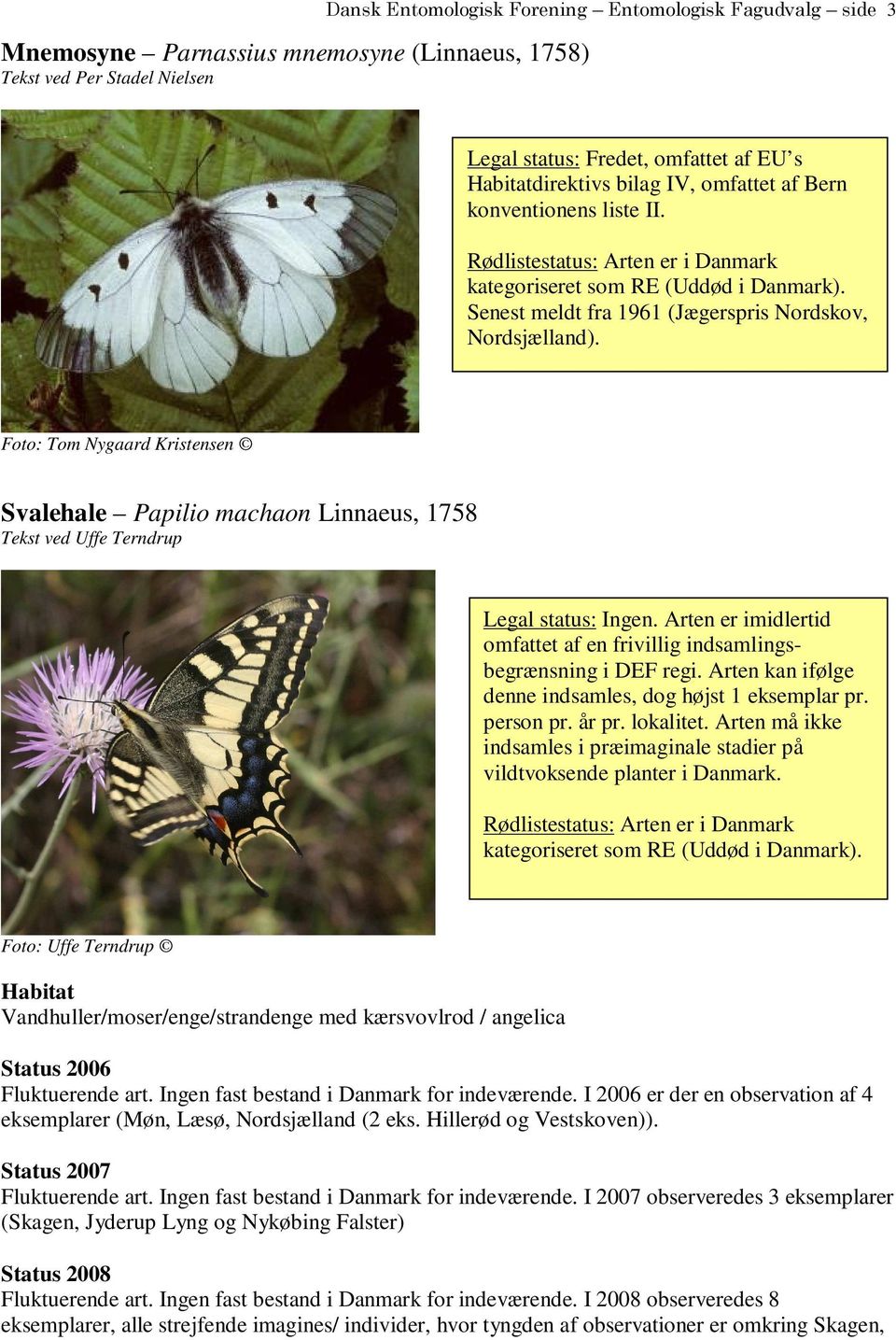 Foto: Tom Nygaard Kristensen Svalehale Papilio machaon Linnaeus, 1758 Tekst ved Uffe Terndrup Legal status: Ingen. Arten er imidlertid omfattet af en frivillig indsamlingsbegrænsning i DEF regi.