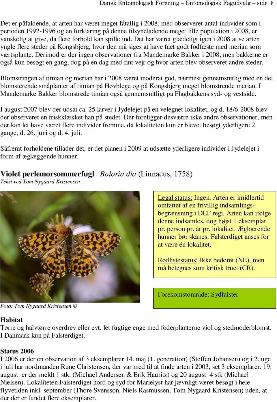 Det har været glædeligt igen i 2008 at se arten yngle flere steder på Kongsbjerg, hvor den må siges at have fået godt fodfæste med merian som værtsplante.