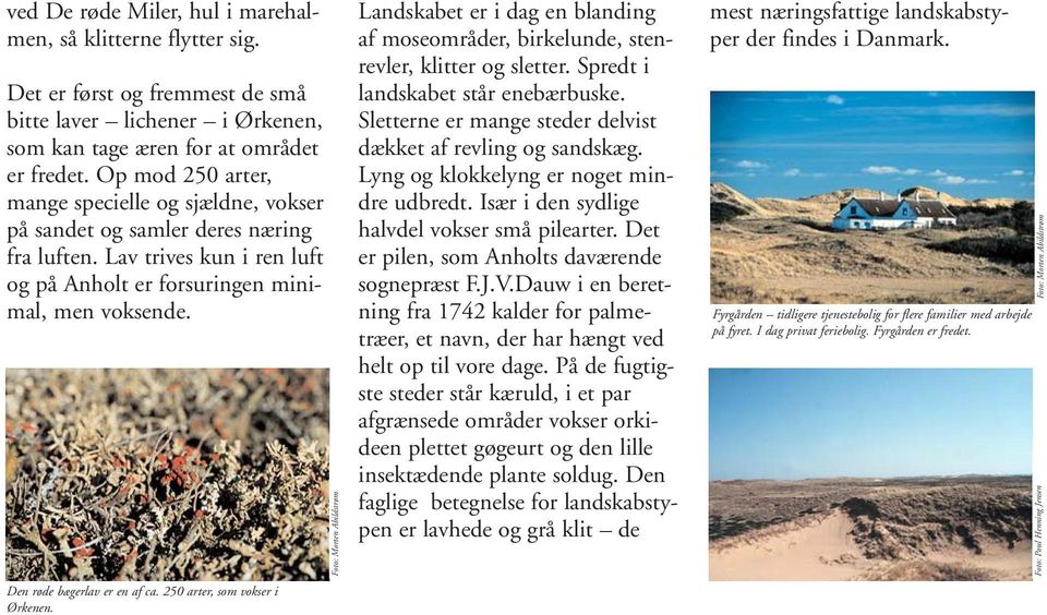 Den røde bægerlav er en af ca. 250 arter, som vokser i Ørkenen. Foto: Morten Abildstrøm Landskabet er i dag en blanding af moseområder, birkelunde, stenrevler, klitter og sletter.