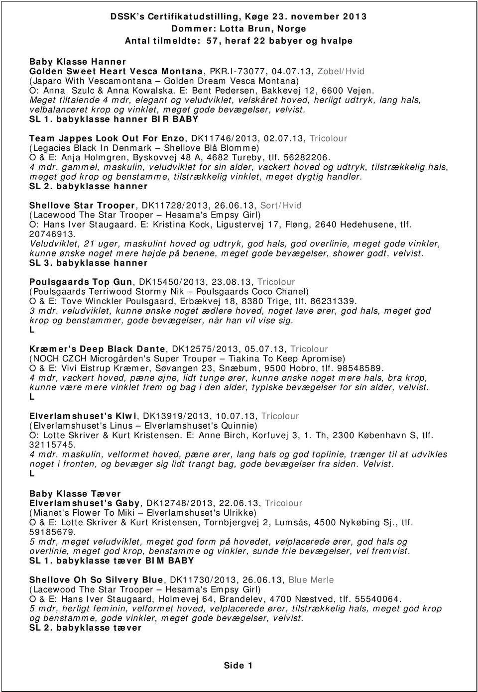 S 1. babyklasse hanner BIR BABY Team Jappes ook Out For Enzo, DK11746/2013, 02.07.13, Tricolour (egacies Black In Denmark Shellove Blå Blomme) O & E: Anja Holmgren, Byskovvej 48 A, 4682 Tureby, tlf.