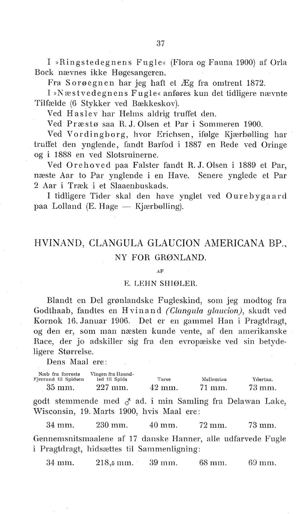v ed V o r d i n g b o r g, hvor Erichsen, ifølge Kjærbølling har trufiet den ynglende, fandt Barfod i 1887 en Rede ved Oringe og i 1888 en ved Slotsruinerne. Ved O re hoved paa Falster fandt R. J.