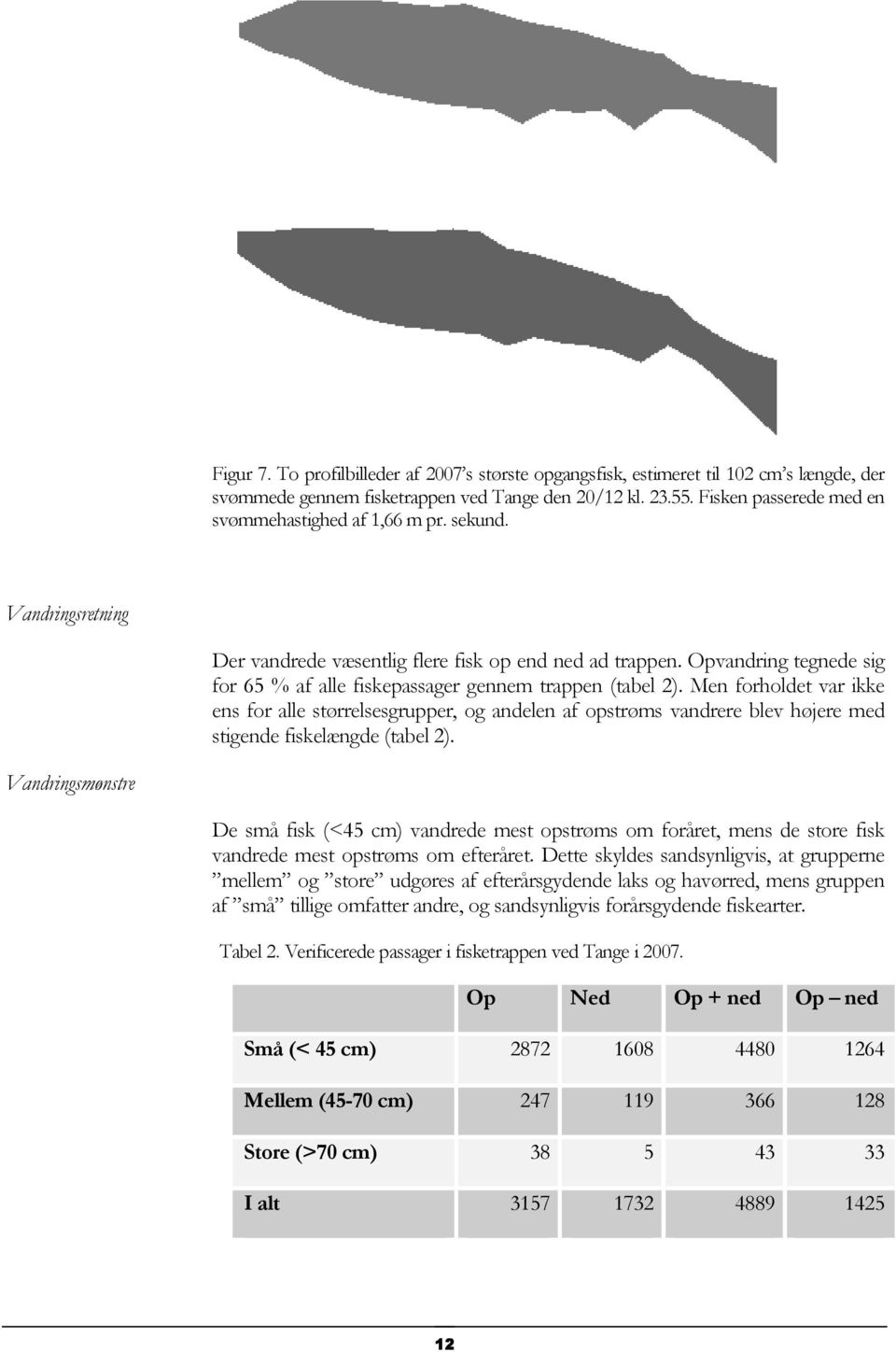 Opvandring tegnede sig for 65 % af alle fiskepassager gennem trappen (tabel 2).