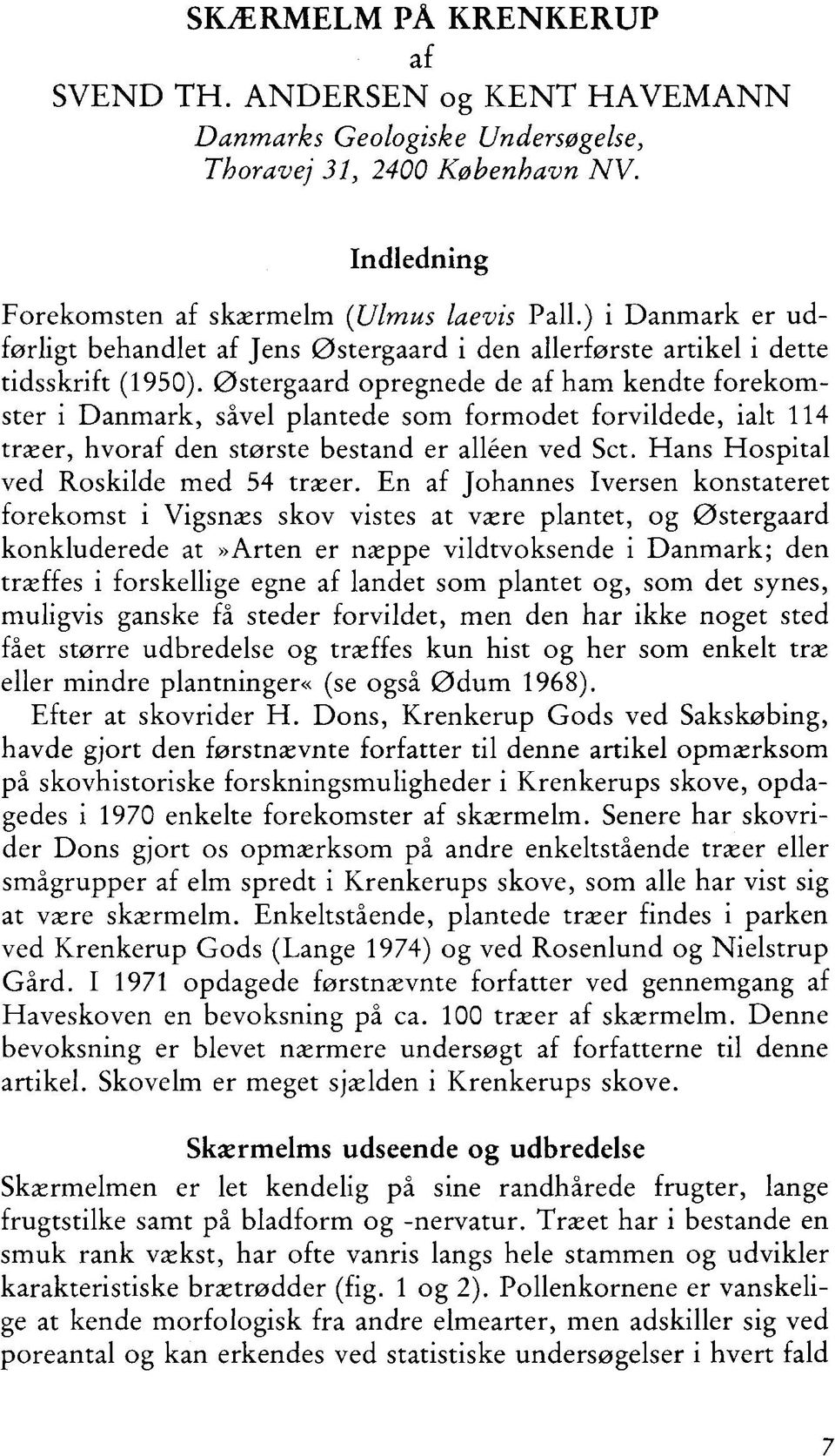 Østergaard pregnede de af ham kendte frekmster i Danmark, såvel plantede sm frmdet frvildede, ialt 114 træer, hvraf den største bestand er alléen ved Set. Hans Hspital ved Rskilde med 54 træer.