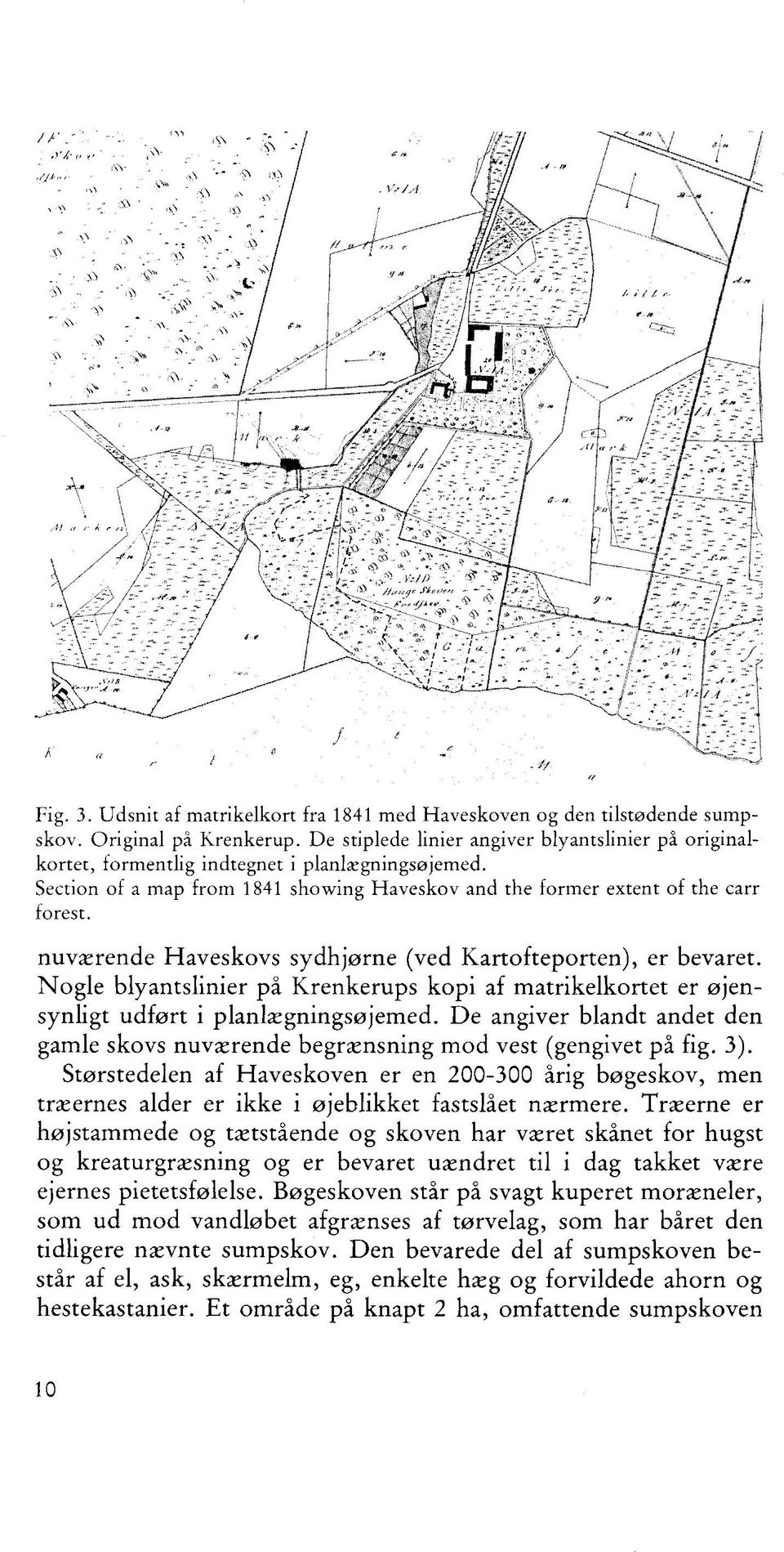 nuværende Haveskvs sydhjørne (ved Kartfteprten), er bevaret. Ngle blyantslinier på Krenkerups kpi af matrikelkrtet er øjensynligt udført i planlægningsøjemed.