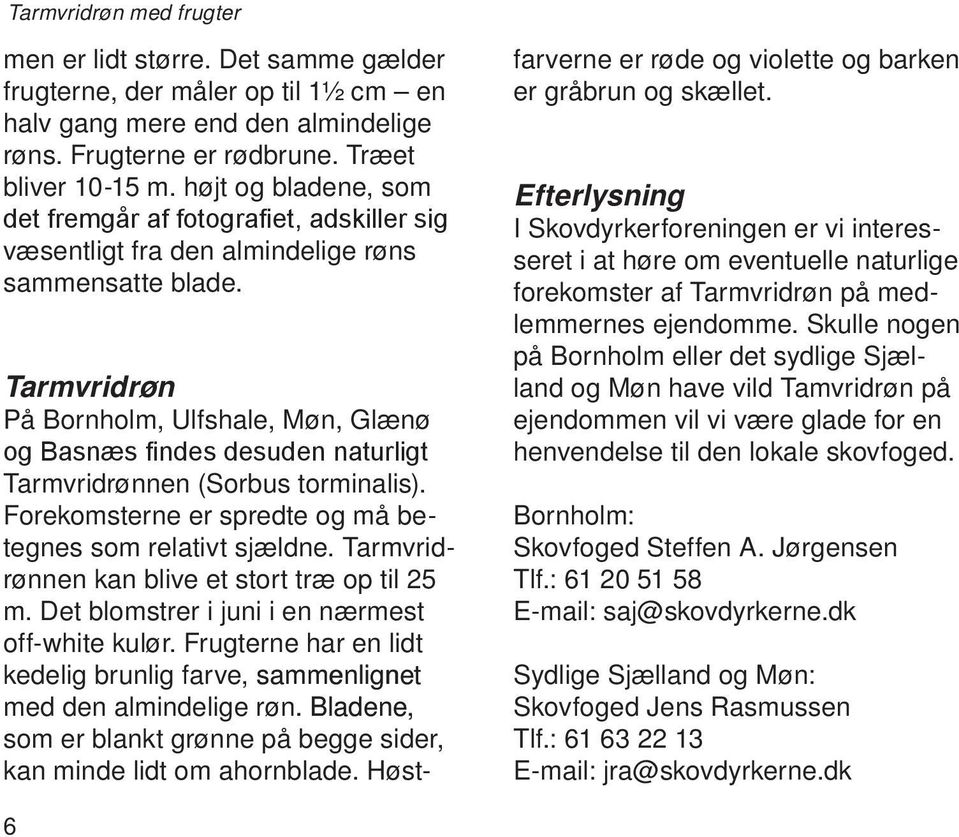Tarmvridrøn På Bornholm, Ulfshale, Møn, Glænø og Basnæs findes desuden naturligt Tarmvridrønnen (Sorbus torminalis). Forekomsterne er spredte og må betegnes som relativt sjældne.