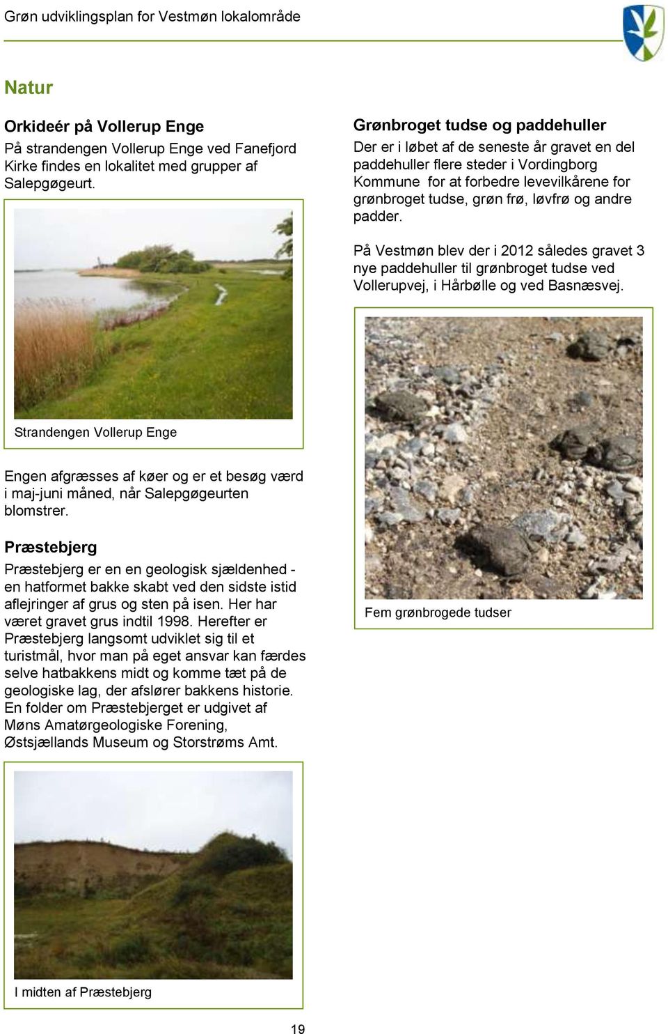 andre padder. På Vestmøn blev der i 2012 således gravet 3 nye paddehuller til grønbroget tudse ved Vollerupvej, i Hårbølle og ved Basnæsvej.