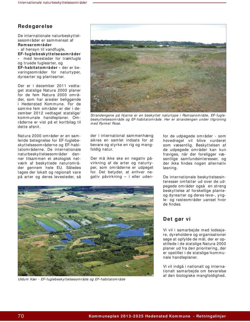 Der er i december 2011 vedtaget statslige Natura 2000 planer for de fem Natura 2000 områder, som har arealer beliggende i Hedensted Kommune.
