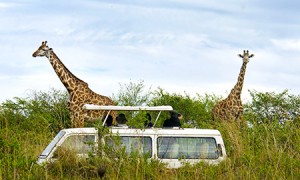 Kenyas Horisonter Fra kr. 19.298,- pr. person Inkl. fly samt rundrejse med dansk rejseleder Kenyas Horisonter byder på fremragende safari, dansktalende rejseledere og enestående indkvartering.