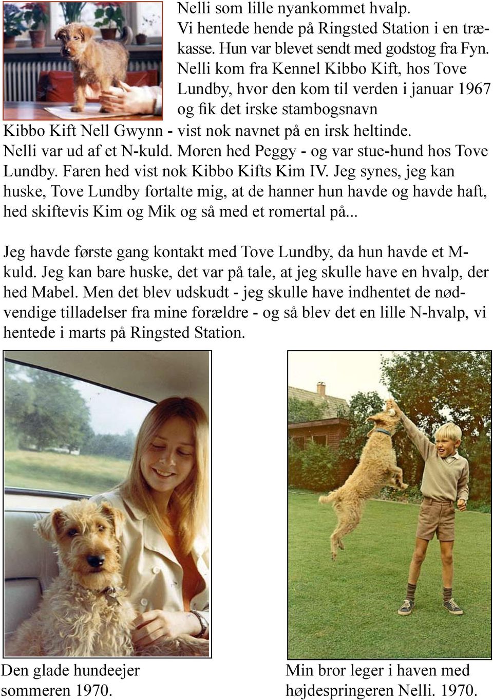 Nelli var ud af et N-kuld. Moren hed Peggy - og var stue-hund hos Tove Lundby. Faren hed vist nok Kibbo Kifts Kim IV.