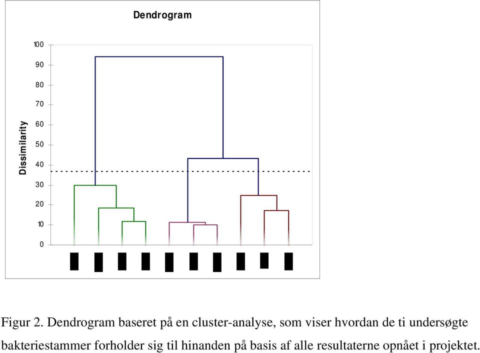 Dendrogram baseret på en cluster-analyse, som viser hvordan