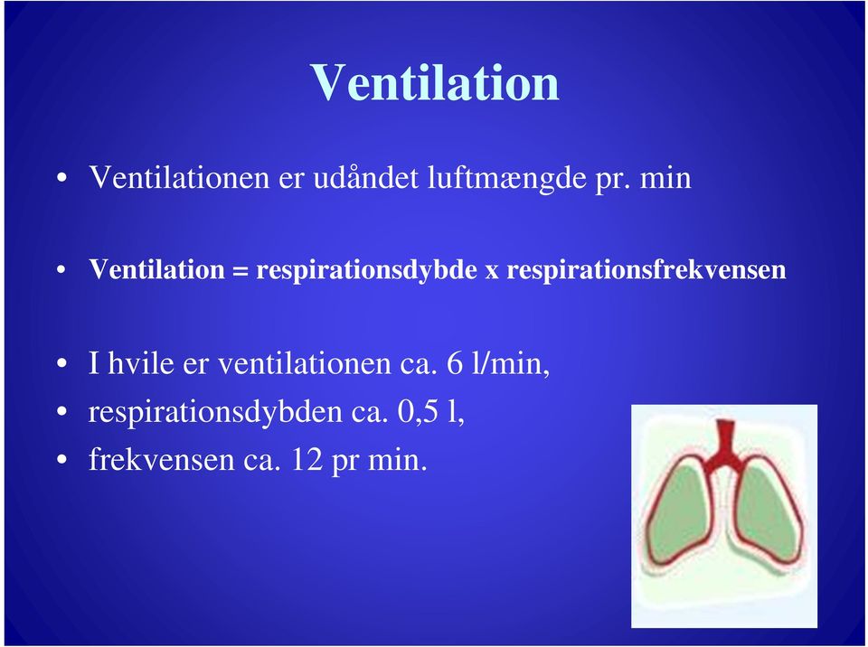 respirationsfrekvensen I hvile er ventilationen ca.