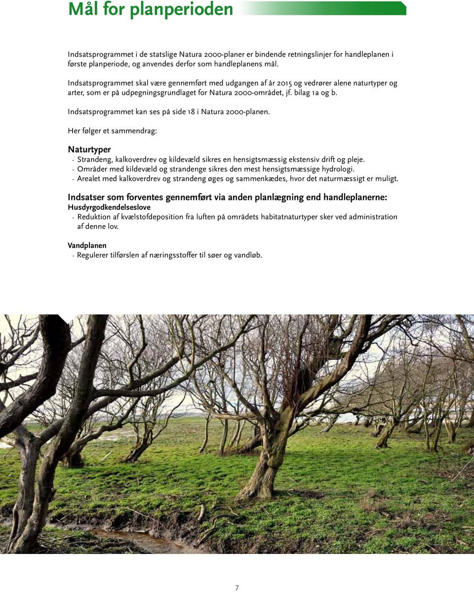 Indsatsprogrammet kan ses på side 18 i Natura 2000-planen. Her følger et sammendrag: Naturtyper - Strandeng, kalkoverdrev og kildevæld sikres en hensigtsmæssig ekstensiv drift og pleje.