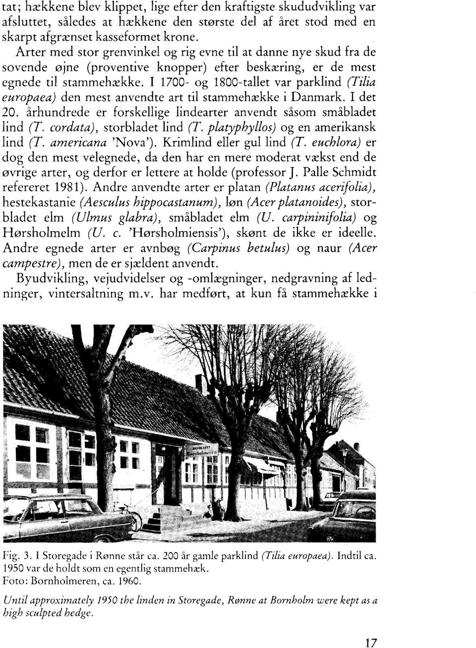 I 1700- og 1800-tallet var parklind (Tilia europaea) den mest anvendte art til stammehække i Danmark. I det 20. århundrede er forskellige lindearter anvendt såsom småbladet lind (T.