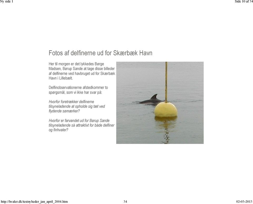 Delfinobservationerne afstedkommer to spørgsmål, som vi ikke har svar på: Hvorfor foretrækker delfinerne