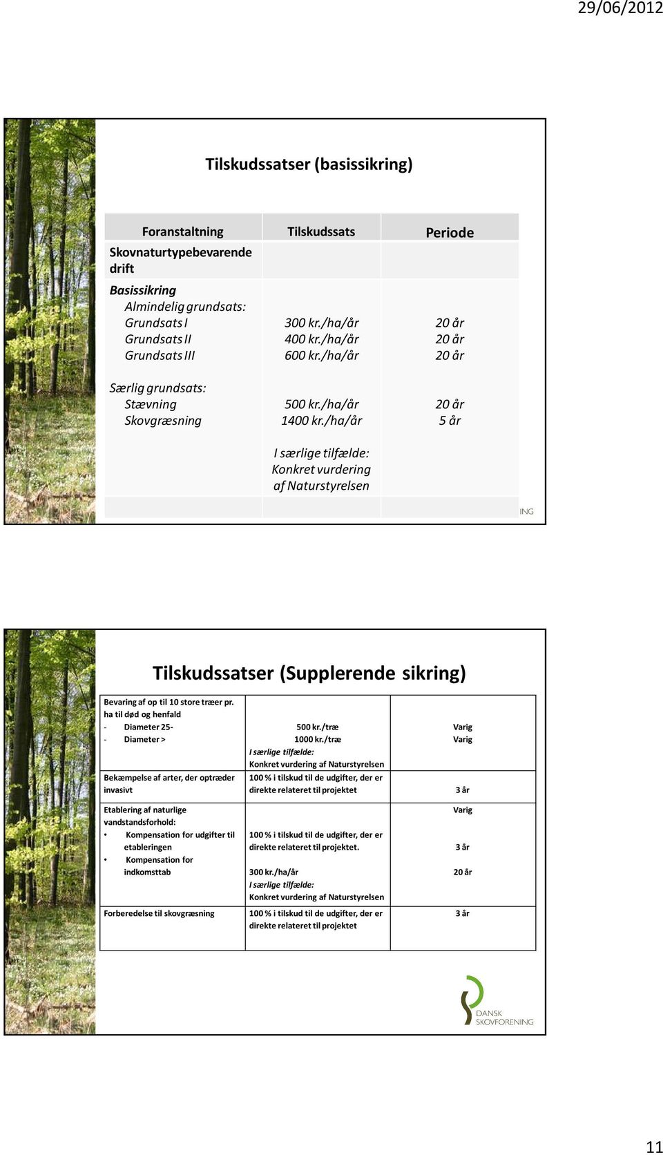 /ha/år I særlige tilfælde: Konkret vurdering af Naturstyrelsen 20 år 5 år Tilskudssatser (Supplerende sikring) Bevaring af op til 10 store træer pr.