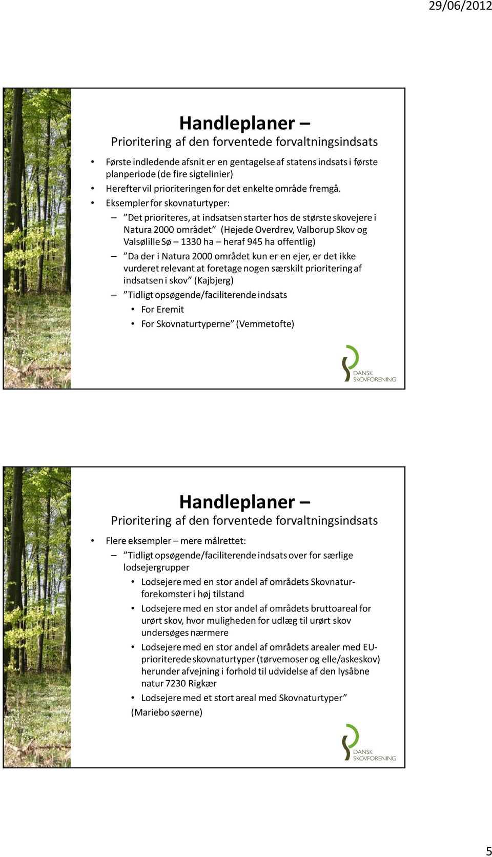 Eksempler for skovnaturtyper: Det prioriteres, at indsatsen starter hos de største skovejerei Natura 2000 området (HejedeOverdrev, ValborupSkov og Valsølille Sø 1330 ha heraf 945 ha offentlig) Da der