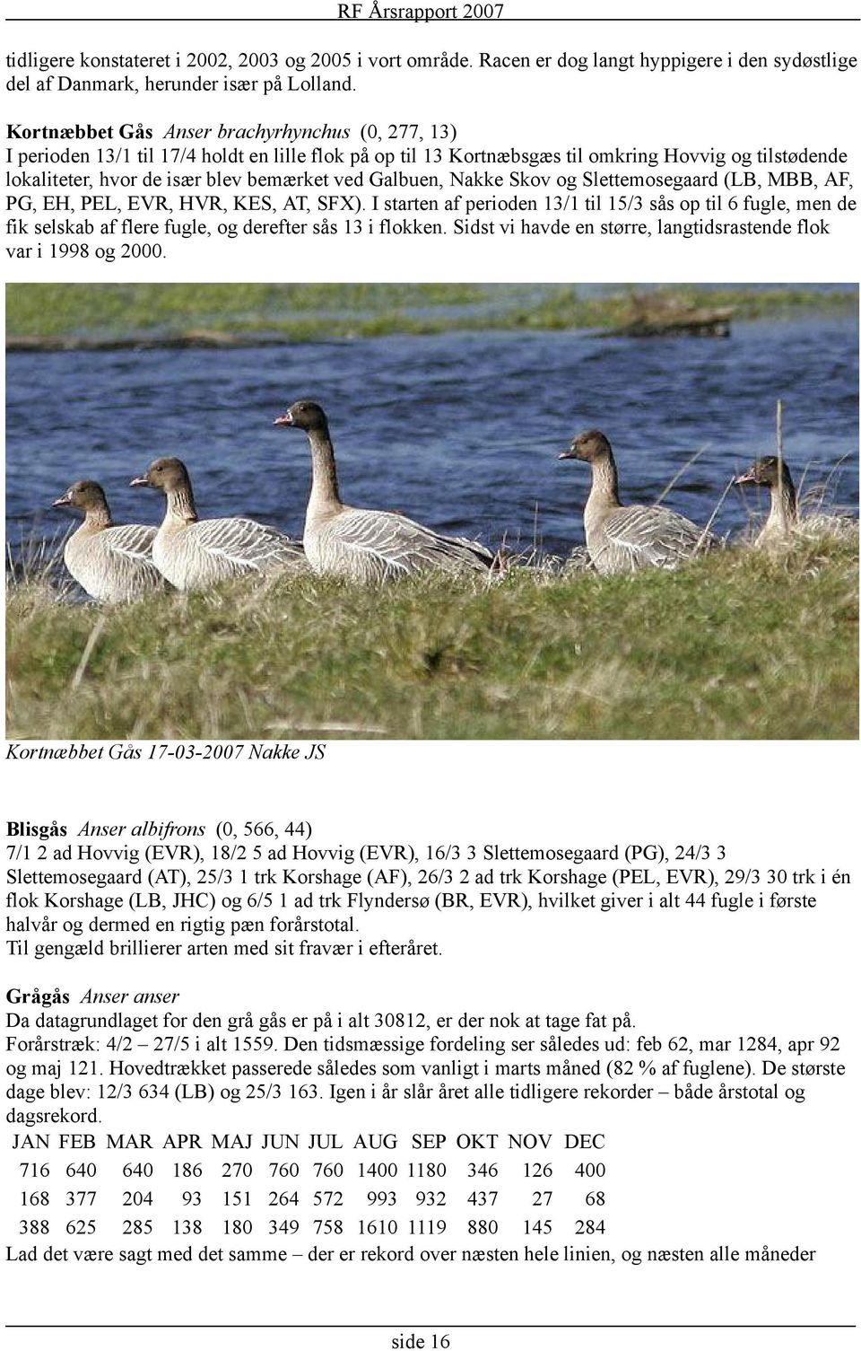 Skov og Slettemosegaard (LB, MBB, AF, PG, EH, PEL, EVR, HVR, KES, AT, SFX). I starten af perioden / til / sås op til fugle, men de fik selskab af flere fugle, og derefter sås i flokken.