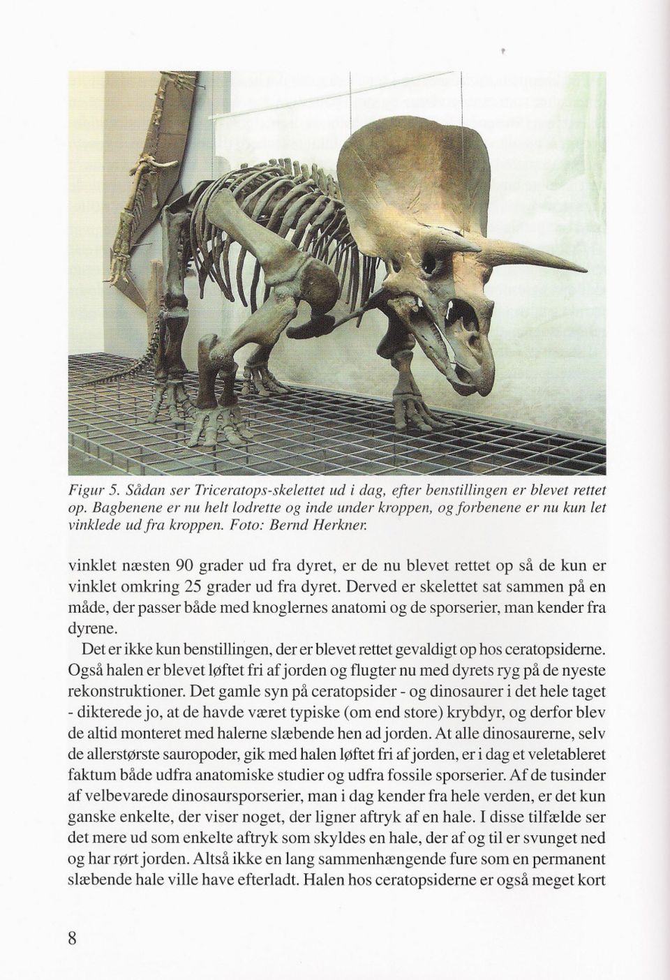 Derved er skelettet sat sammen på en måde, der passer både med knoglernes anatomi og de sporserier, man kender fra dyrene.