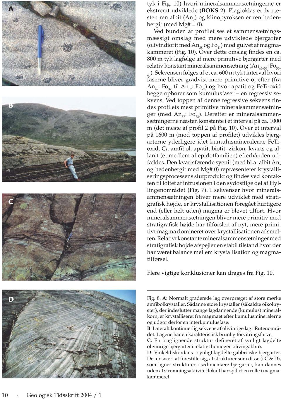 800 m tyk lagfølge af mere primitive bjergarter med relativ konstant mineralsammensætning (An 46 53 : Fo 35 ). Sekvensen følges af et ca.