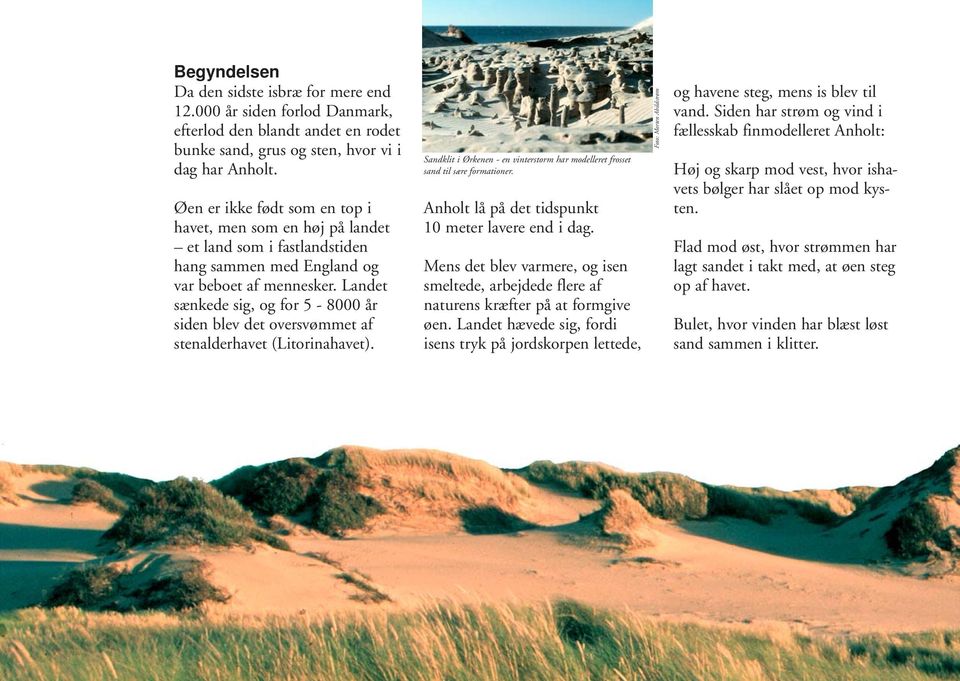 Landet sænkede sig, og for 5-8000 år siden blev det oversvømmet af stenalderhavet (Litorinahavet). Sandklit i Ørkenen - en vinterstorm har modelleret frosset sand til sære formationer.