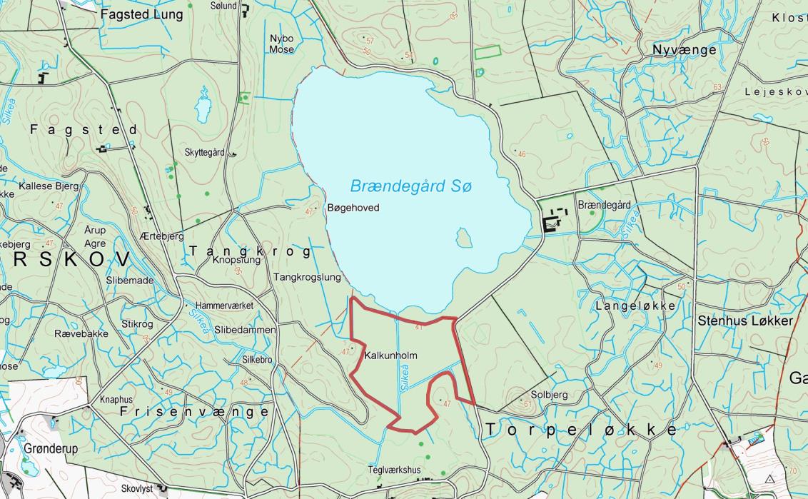1. Indledning Som en del af EU LIFE-projektet, Life 70, indgår et lavbundsareal syd for Brændegård Sø, benævnt "Brændegård Enge" (se kort 1).