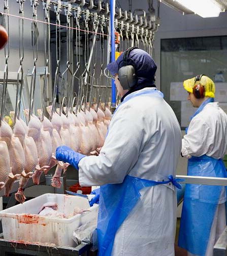 Kødkontrol - lovgivning Det foregår i Bruxelles Forordning (EF) Nr. 854/2004 EUROPA-PARLAMENTETS OG RÅDETS FOR-ORDNING (EF) Nr.