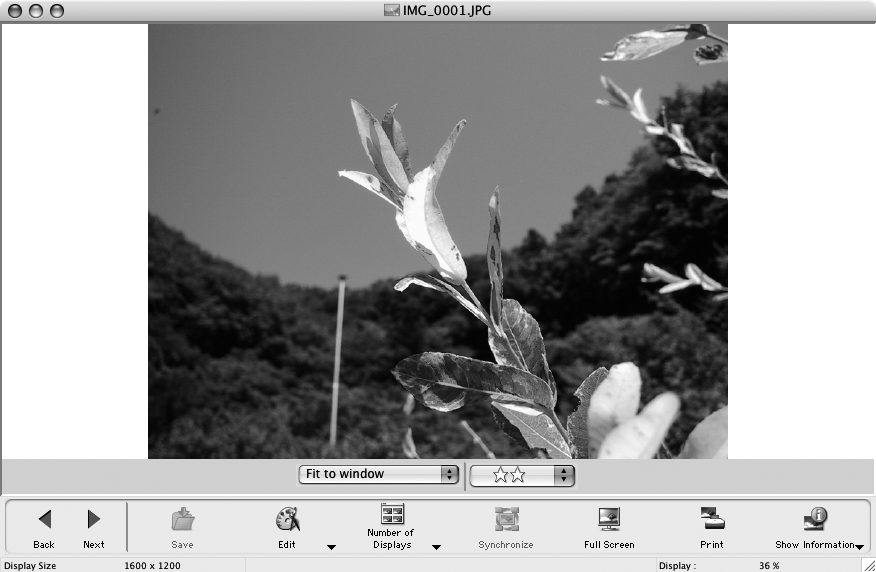 Brug af softwaren på Macintosh-platformen Avancerede teknikker 56 Fremviservinduet Dobbeltklik på et billede i browserområdet for at vise det i fremviservinduet.