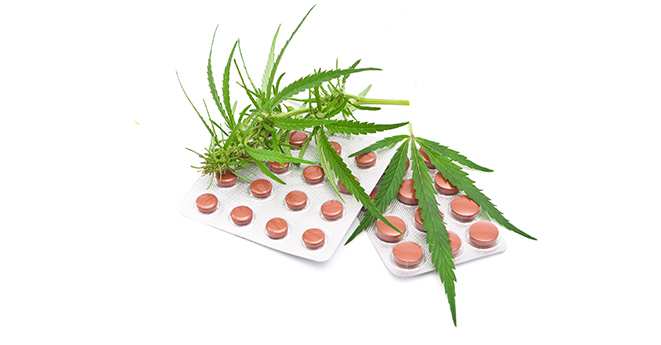 Sundheds- og Ældreudvalget 2015-16 B 5 Bilag 3 Offentligt N O T A T Medicinsk brug af Cannabis 3. udgave j.nr.