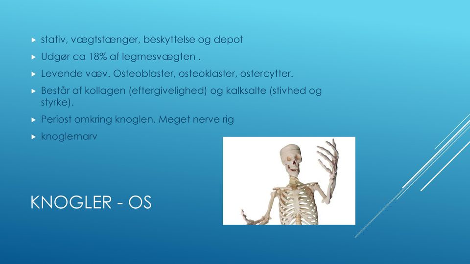 Osteoblaster, osteoklaster, ostercytter.