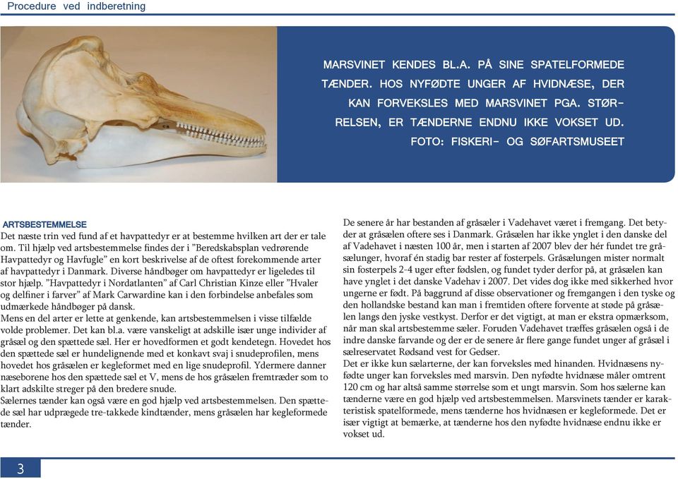 Til hjælp ved artsbestemmelse findes der i Beredskabsplan vedrørende Havpattedyr og Havfugle en kort beskrivelse af de oftest forekommende arter af havpattedyr i Danmark.