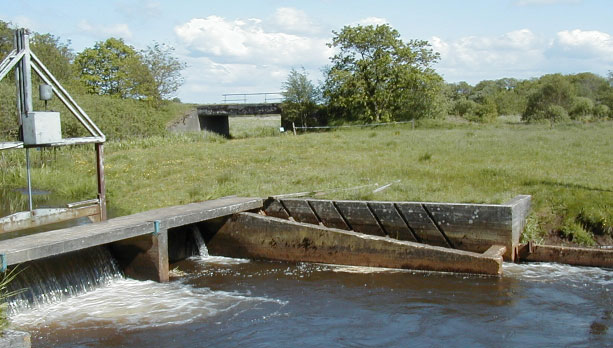 Fisk og smådyr (vandlevende insekter m.v.) som føres passivt med strømmen, forstyrres af vandindtag til dambrugene.