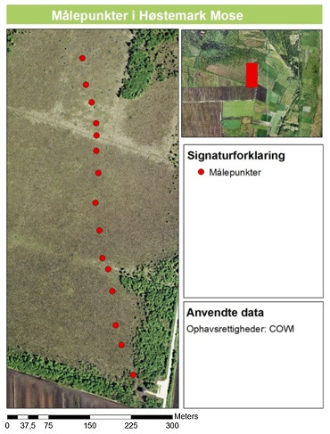 Gunstig bevaringsstatus i Høstemark Mose håndholdt GPS. Afstanden mellem målepunkterne kan variere pga. skift i vegetationen. Ved alle målepunkter blev der foretaget observationer af hhv.