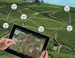 Fremtidens planteværn IT til landbrug Varslingssystemer, sensorer, droner Intelligent udbringning / sprøjtning Værdikædeintegration Historien fra såsæd til brød