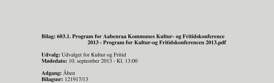 2013 - Program for Kultur-og Fritidskonferencen 2013.