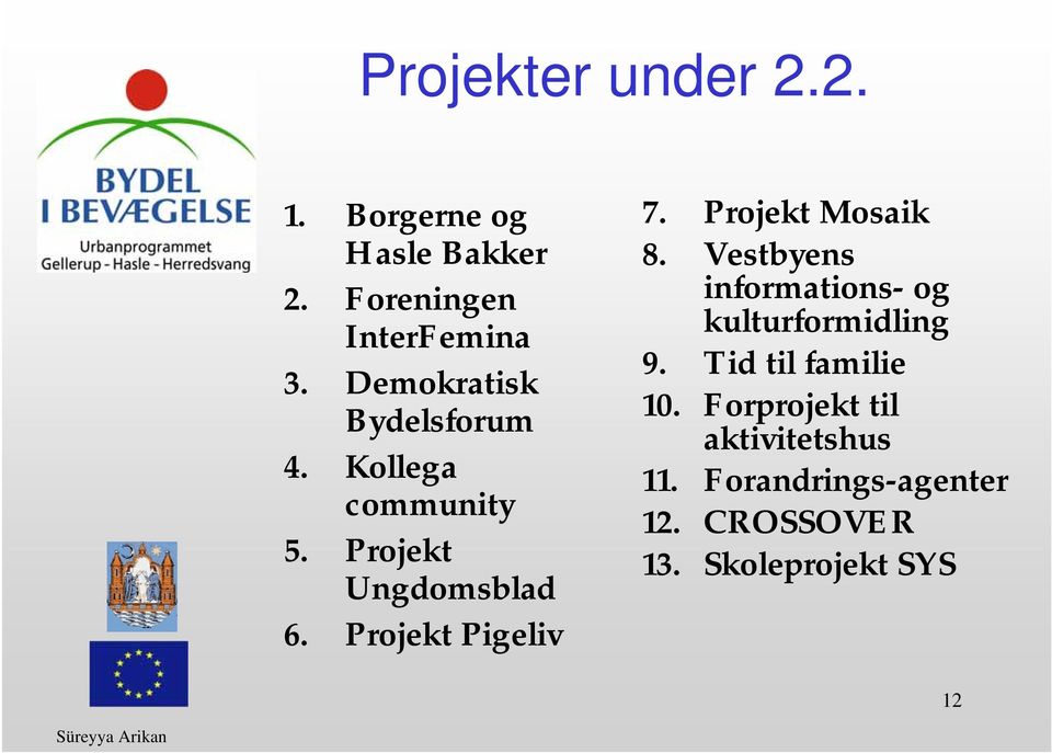 Projekt Pigeliv 7. Projekt Mosaik 8. Vestbyens informations- og kulturformidling 9.