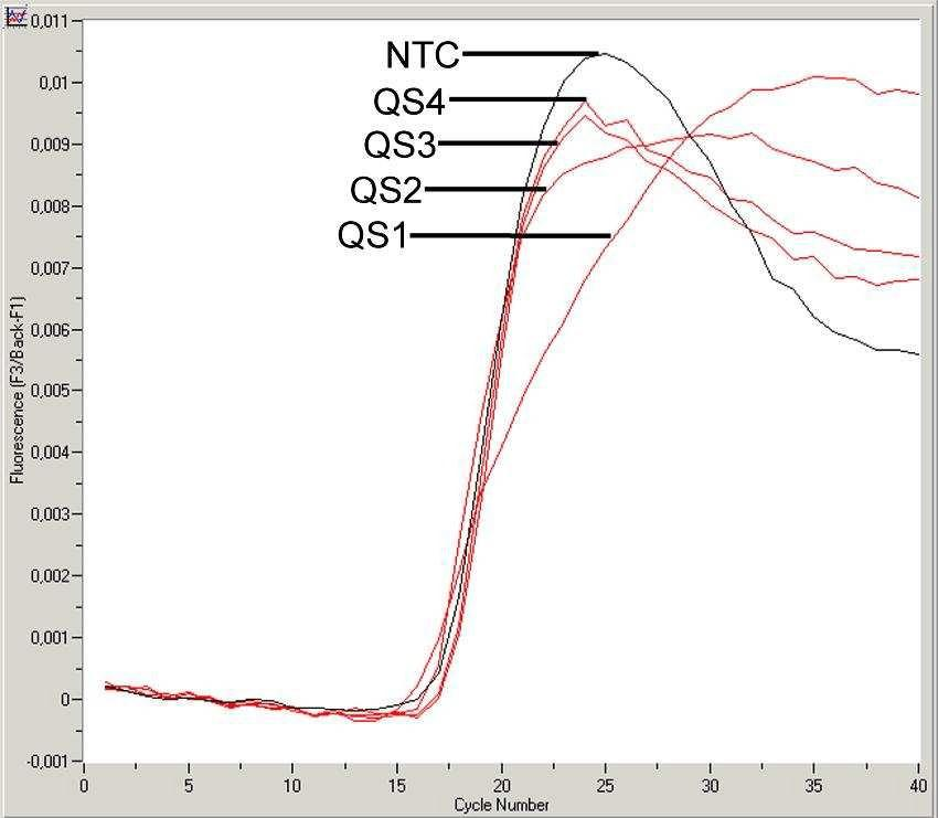 Fig. 8: Detektion af Kvantificeringsstandarder (EBV LC/RG/TM QS 1-4) i fluorescens-kanalen F2/Back-F1. NTC: non- template control (negativkontrol). Fig.