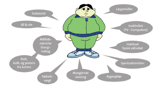 Overvægt og fedme Kapitel 21 Figur 21.7. Faktorer med kendt eller mulig betydning for vægtøgning og overvægt. Kilde: Ernæringsrådet 2003. 268 Tabel 21.5.
