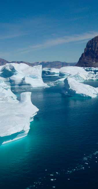 Finansielle risici Royal Greenland er - som følge af sin drift, investeringer og finansiering - eksponeret over for ændringer i valutakurser og renteniveauer.