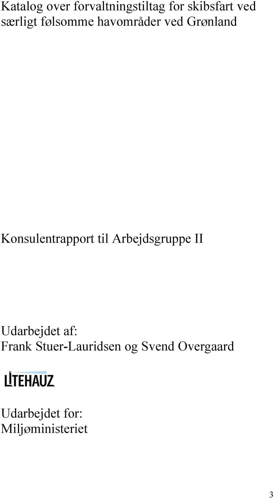 Konsulentrapport til Arbejdsgruppe II Udarbejdet af: