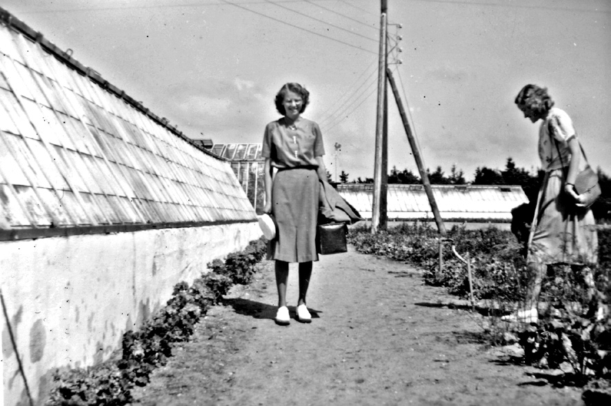 24 6.55-1944. Vera Cavling og Flygge Jørgensen arbejder i gartneriet. - c 6.58-1943. Det er Henrik Voss der kører med Benjamin Saxes første kone i trillebøren. - c 6.56-1944.