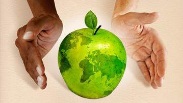 MAD & BÆREDYGTIGHED Hvorfor er det spændende at arbejde Mad & Bæredygtighed? Vores fødevareforbrug har stor indflydelse på vores klima og miljø.